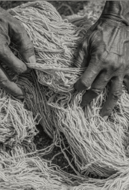 The Hands